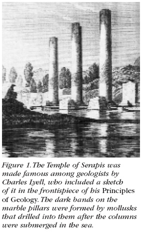 Picture of the columns with burrows half way up from the book by Charles Lyell